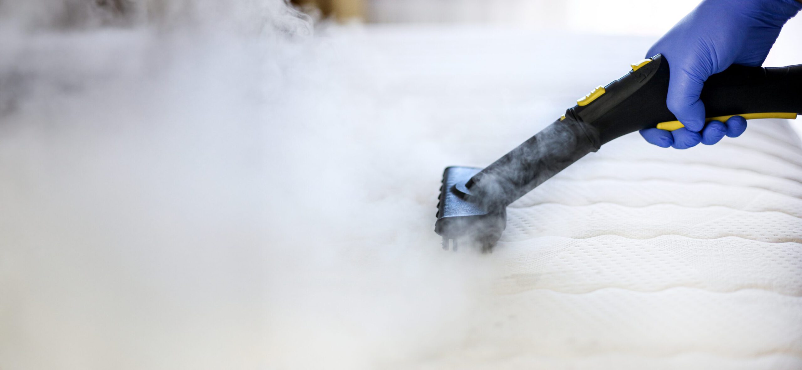 Illustration du header