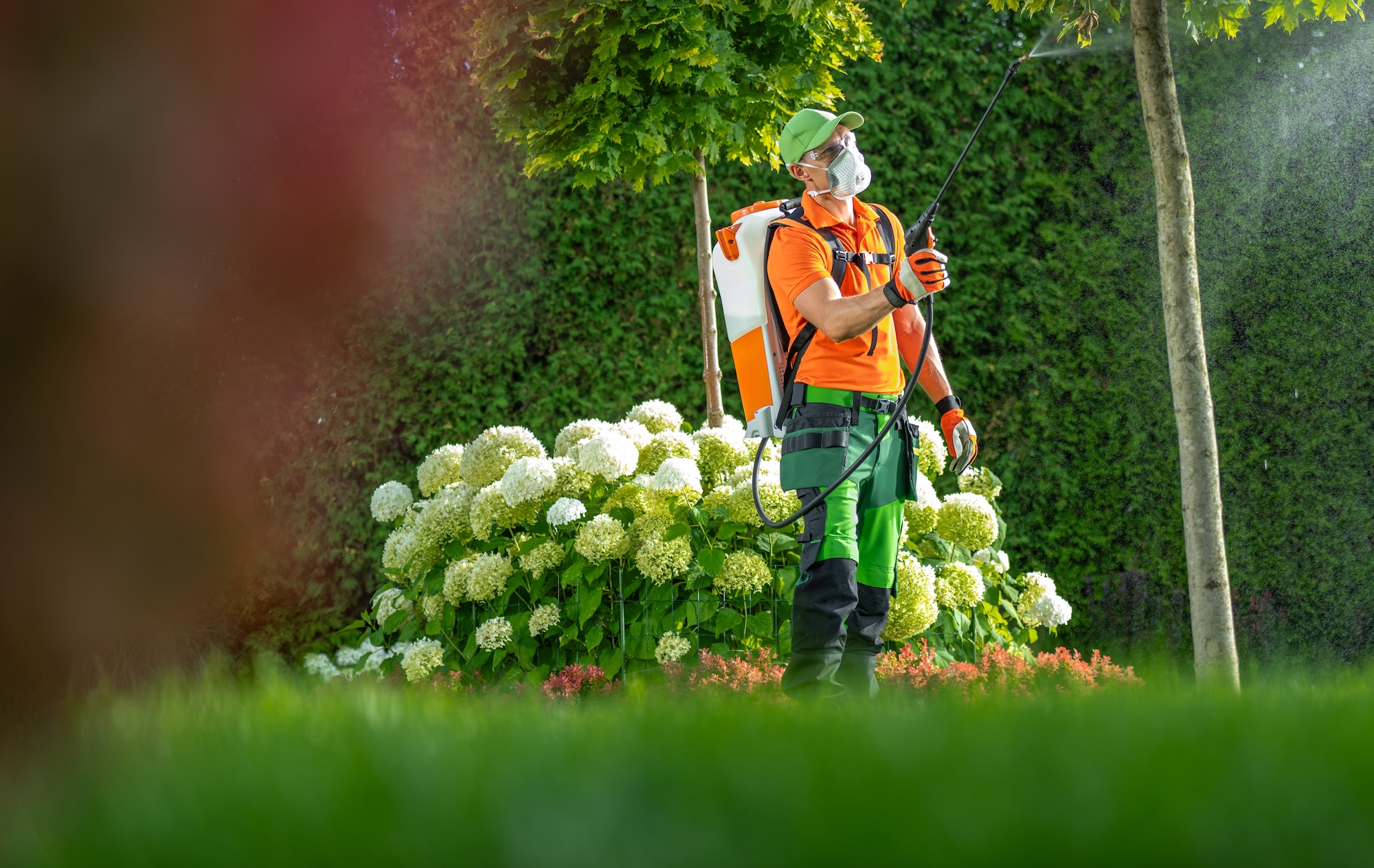 Illustration du contenu